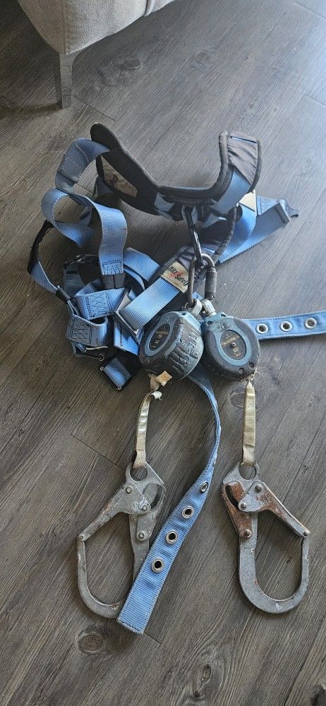 Harness