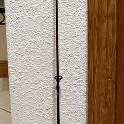 Fishing Rod With Reel