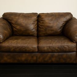 Real Leather Sleeper Sofa