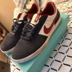 Nike SB Team Classic