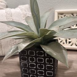 Small Artificial Agave Plant in Modern Square Geometric Planter