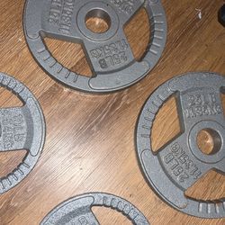 Kettlebells & Weight Plates & Barbell 