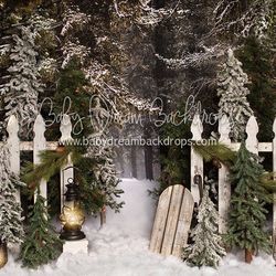 Baby Dream Backdrop Place in the Pines