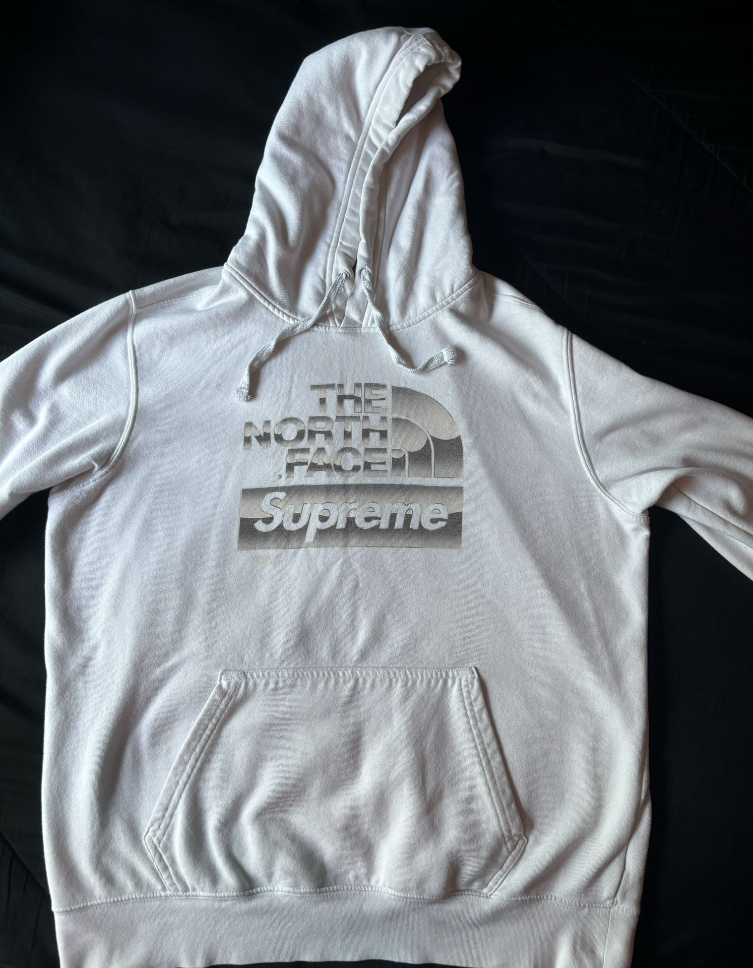 North Face Supreme Hoodie Metallic logo