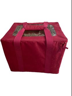 Organize!  Container Bag