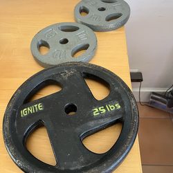 WEIGHTS- (1) 25 lb & (2) 10 lb