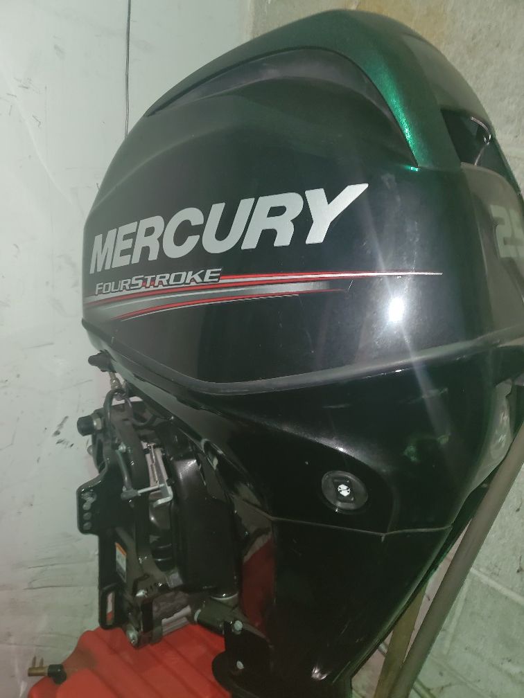 Mercury 25 hp outboard 4 stroke fuel injection