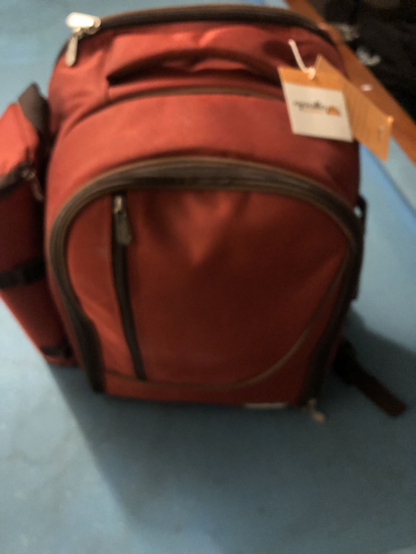 Selling A Picnic Backpack Set 