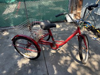 Bike tricycle 24”