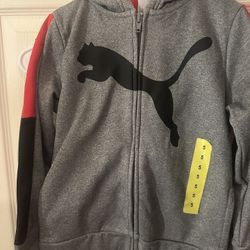 Puma