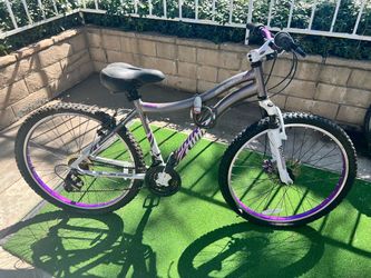 Whirlwind genesis 26in bike