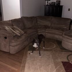 Free Couch (dog not included)