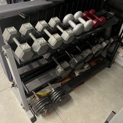 Olympic weight plates/dumbbells/dumbbell rack/dip station-$1/lb.