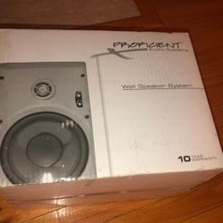 Proficient In Wall Speakers