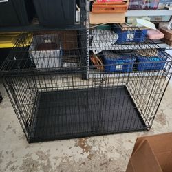 Pet Kennel