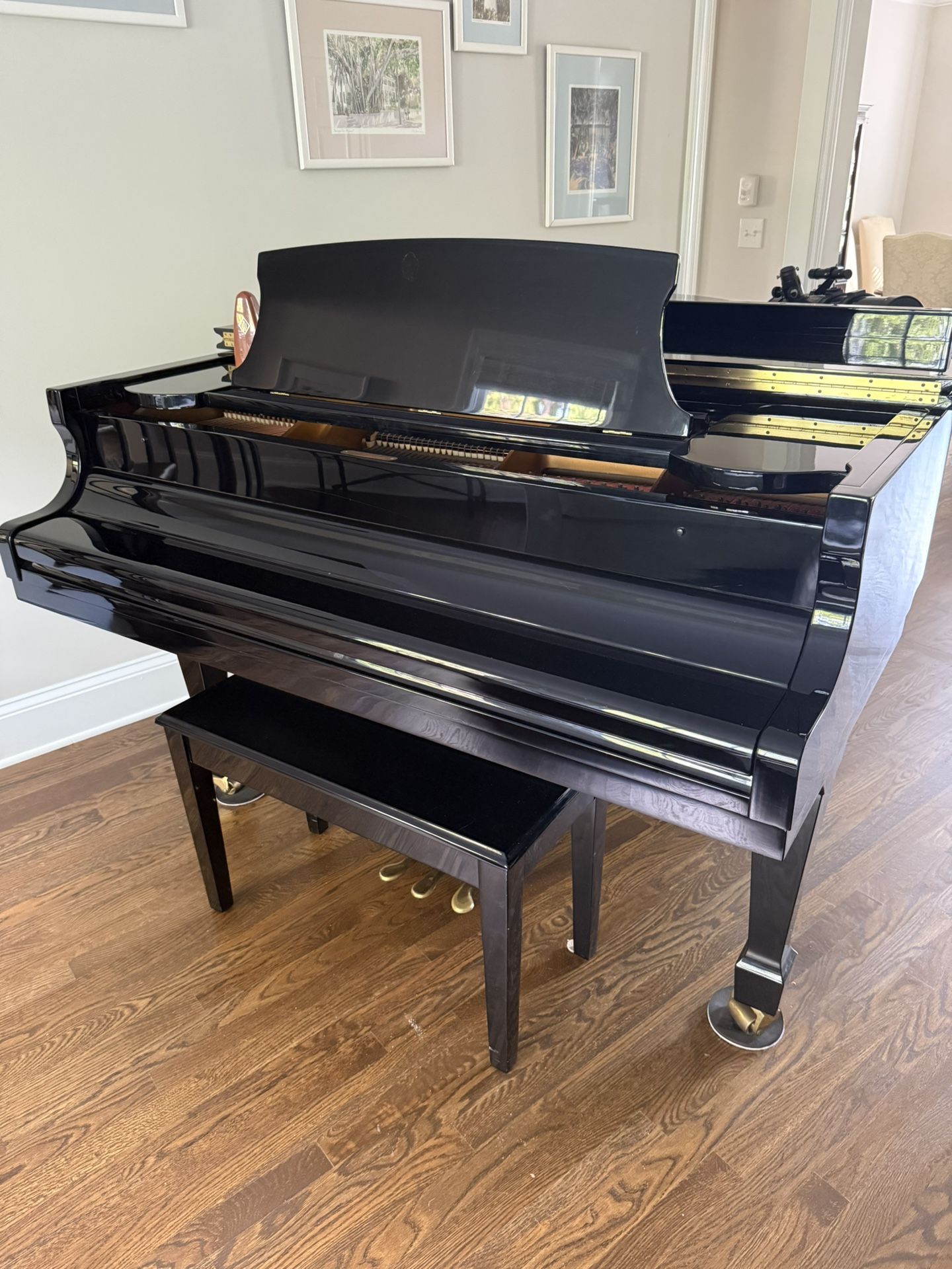 Beautiful Black Baby Grand Piano