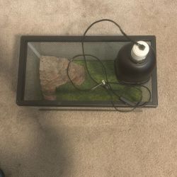 Reptile Tank With A Lamp, Patting, And A Rock Cave 