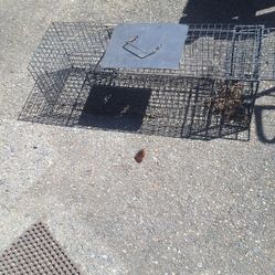 LARGE RODENT TRAP ANIMAL CAGE  $20 BUCKS 