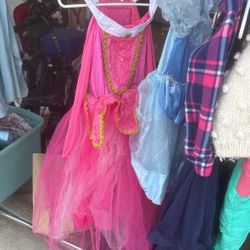 Disney Princess Dress- Dress Up- Anna Elsa Aurora Cinderella 