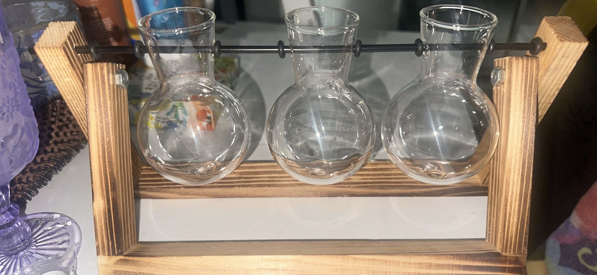 Water Plant Holder
