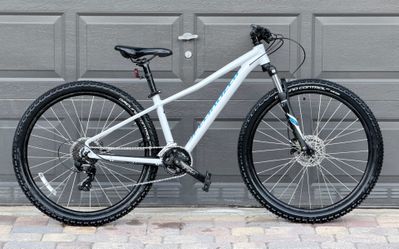 Specialized Mountain Bike