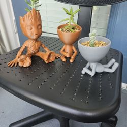 Succulent Set