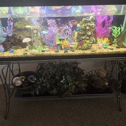 50 Gallon Aquarium W Stand 