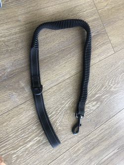 Shock absorbing bungee dog leash
