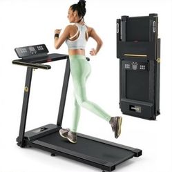 TREADMILL - FOLDABLE + HOME OFFICE SET-UP - $150 (Chelsea)