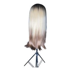 Ash Blonde Ombre/Skunk Stripe Lace Front Wig 18”-22