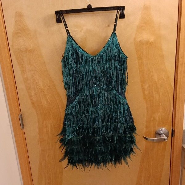 Sparkly Sequin Fringe Dress Size Large Women's Vintage 1920s Cocktail Party Flapper Dress Sexy Glitter Tassel Feather Cami Dress