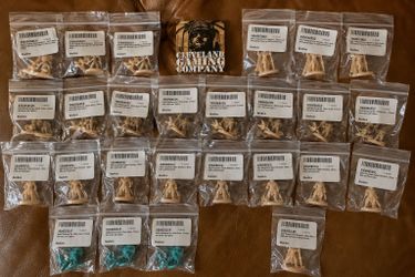 44 D&D Pathfinder 28mm Fantasy Miniatures New Unpainted Lot