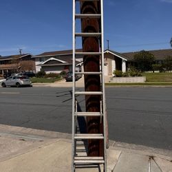 20ft Working Ladder