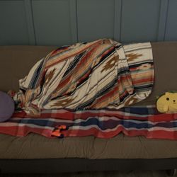 Futon Couch 