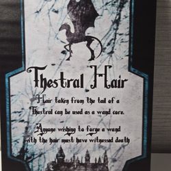 Harry Potter Thestral Magical Creature Sign Tin Rustic Thestral Hair 8" x 12"