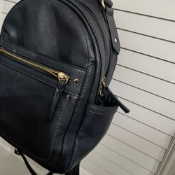 Backpack Purse 