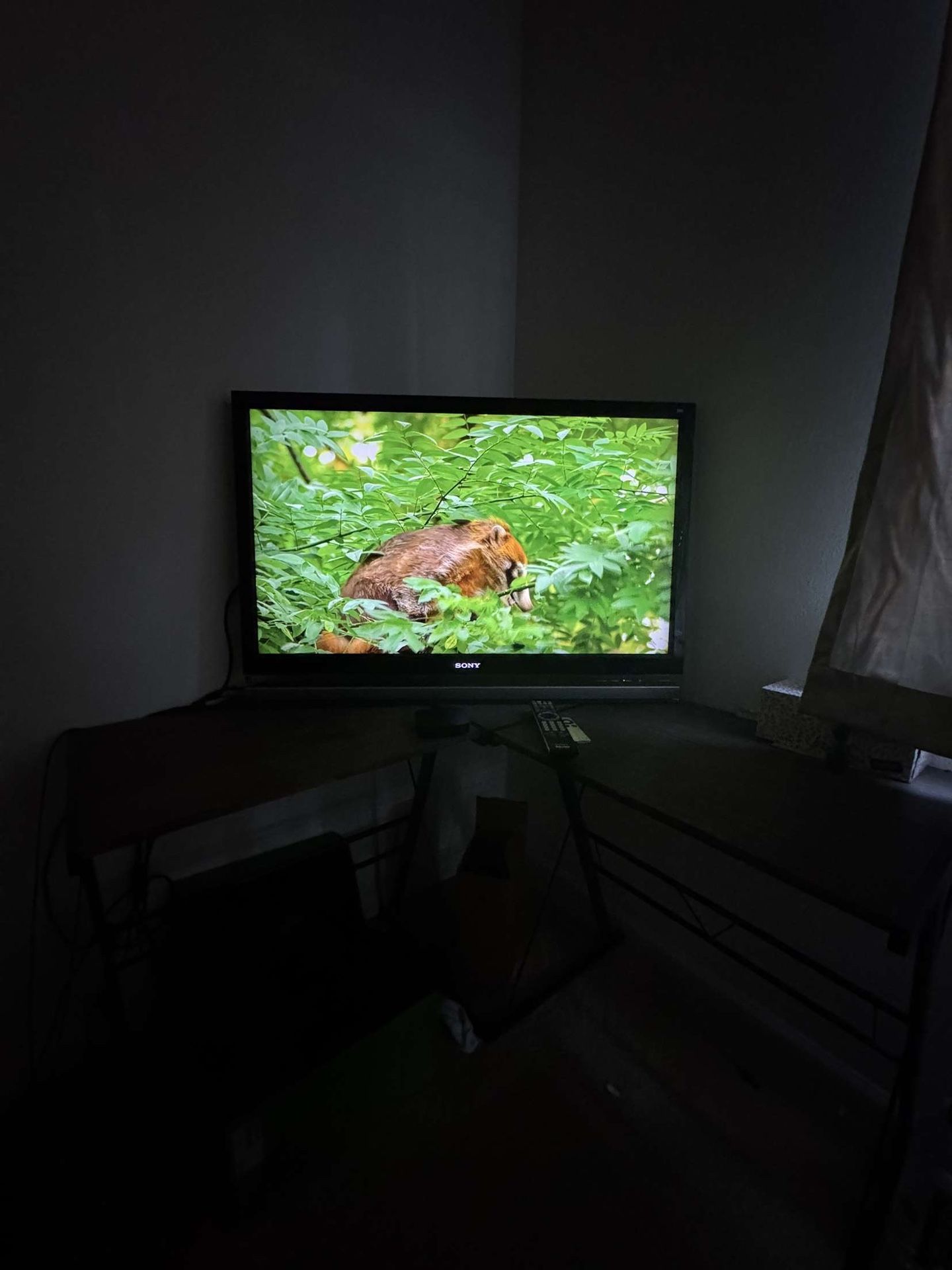 Full Size Bed , Sony Tv With Remote Control , Desk And Chair , Night
