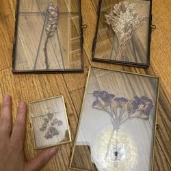 Set of 4 Glass Picture Frames