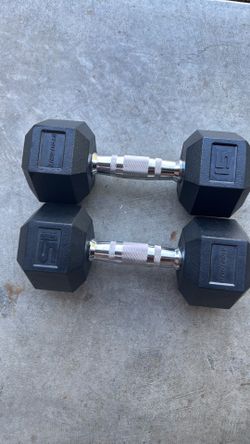 15 lbs dumbbells pair