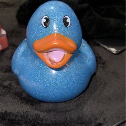 Toy Duck