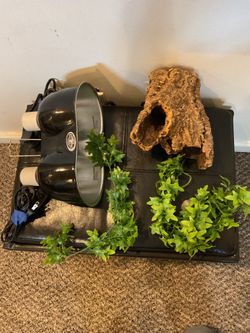 Reptile 2 figure light set with few decorations