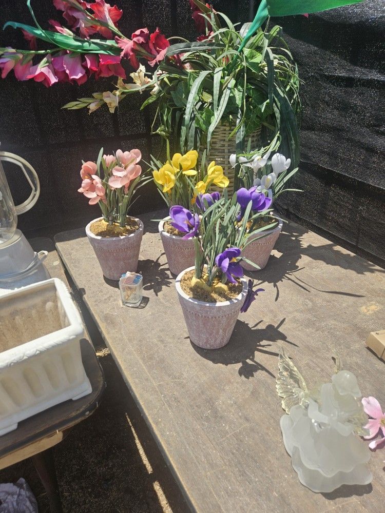Decorative Flowers In Pot 
