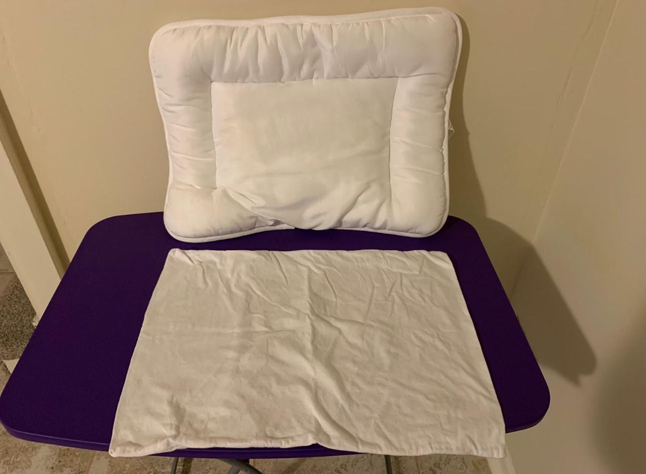 FREE-Baby toddler pillow with pillowcase!