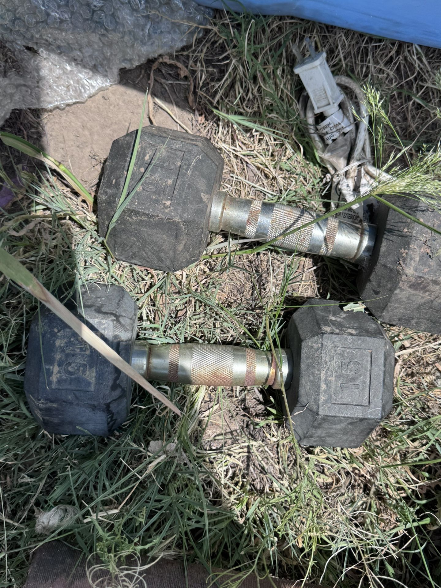 15lb Dumbbells