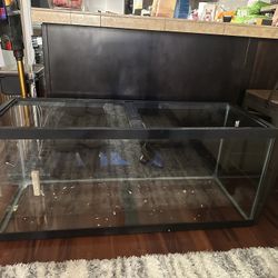 Aquarium 