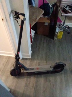 Ladped  Electric Scooter