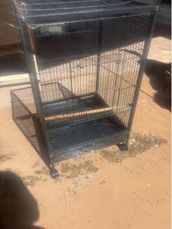 Bird cage