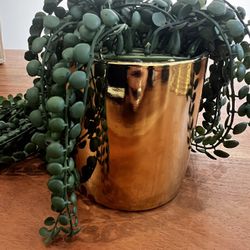 Fake Plant - Decor Thumbnail