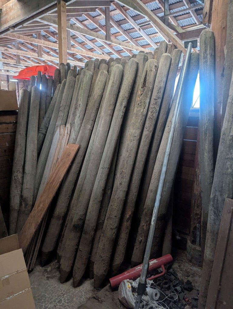Wooden Fence Posts - Used But Great Condition