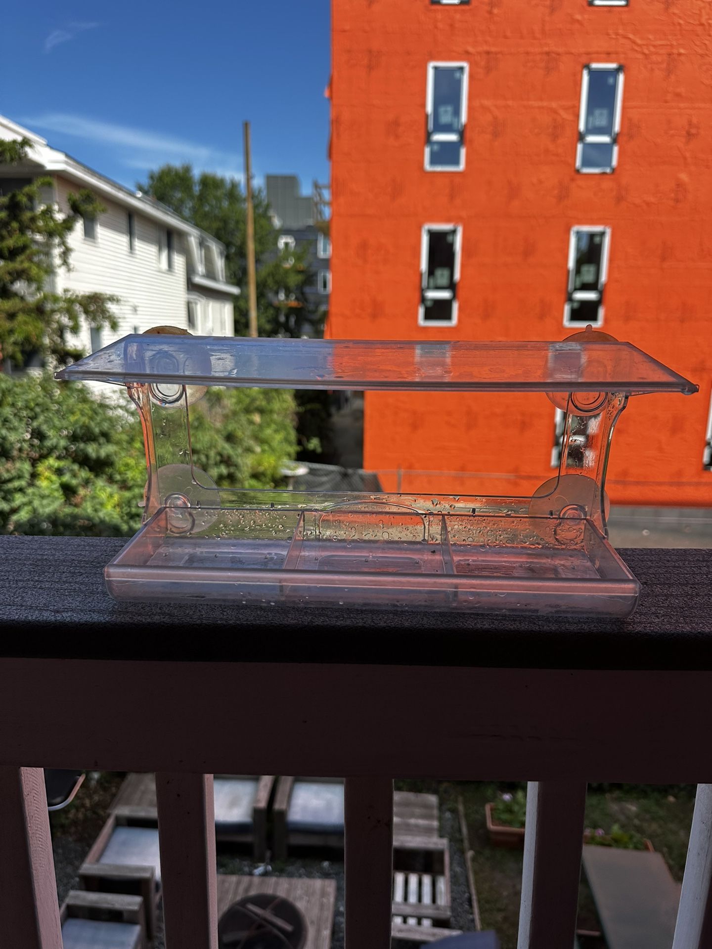 Window Cling Bird Feeder
